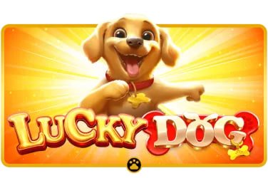 Riwayat permainan Dice Game